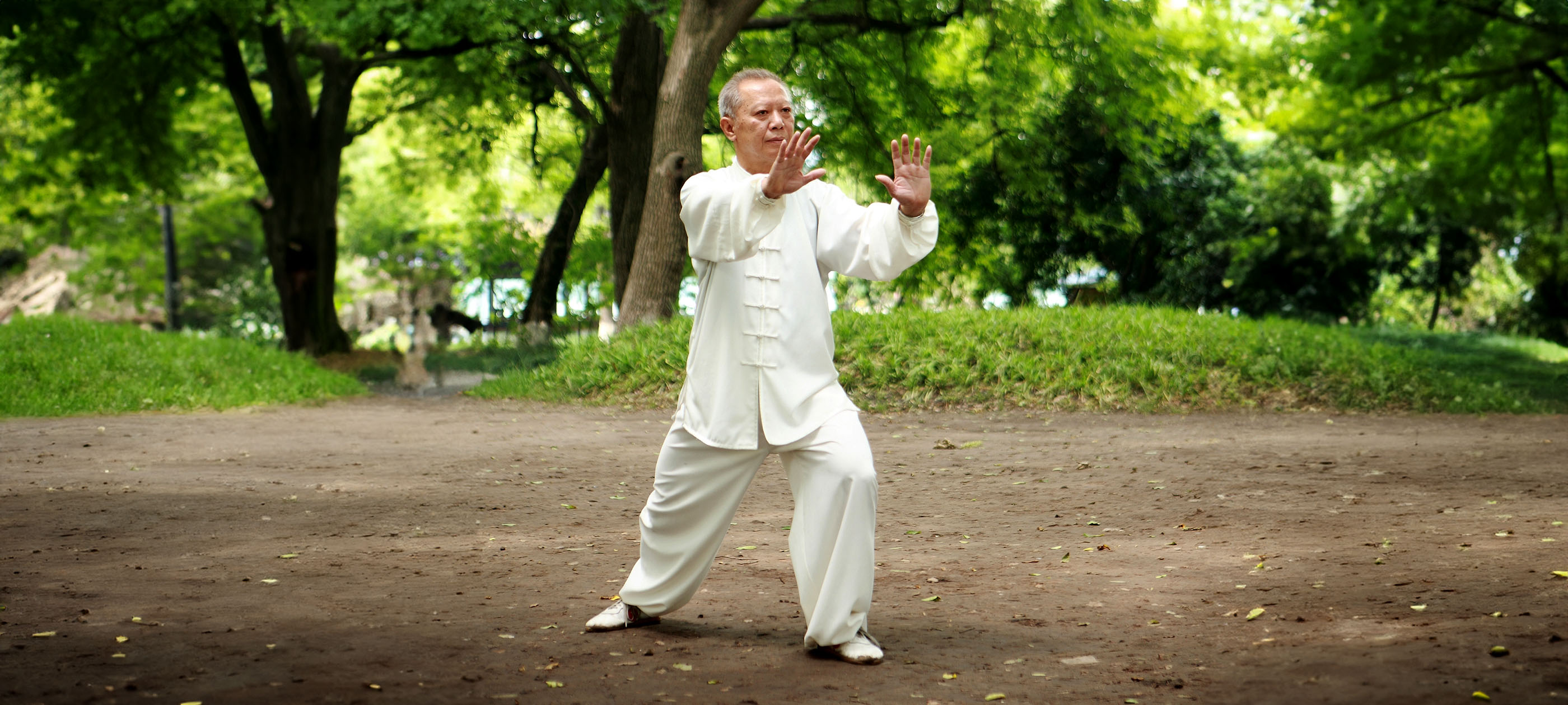 The Art and Science of Qigong